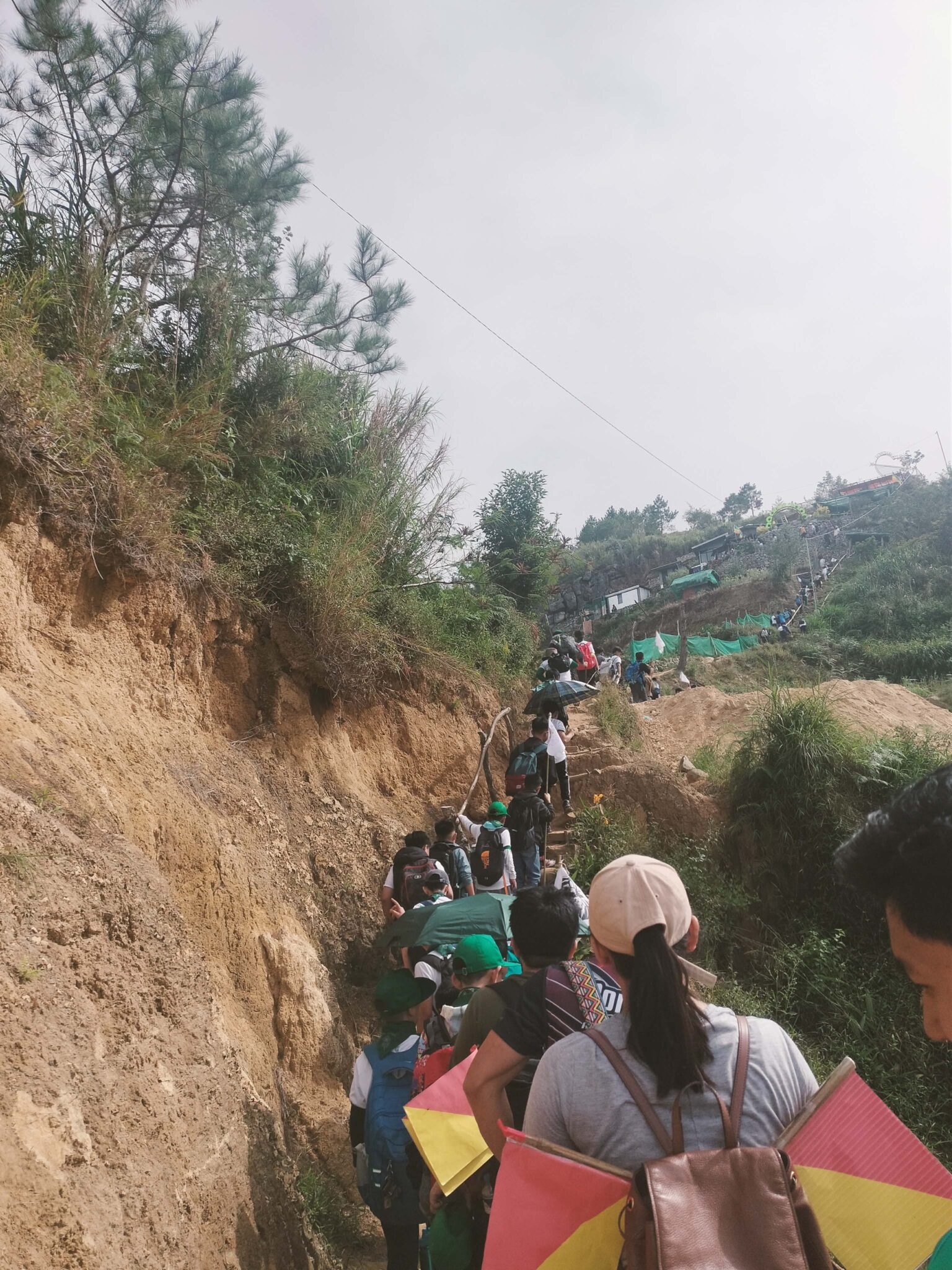 d7c6cb26-4a6f-4608-bef2-1970e2dcc446